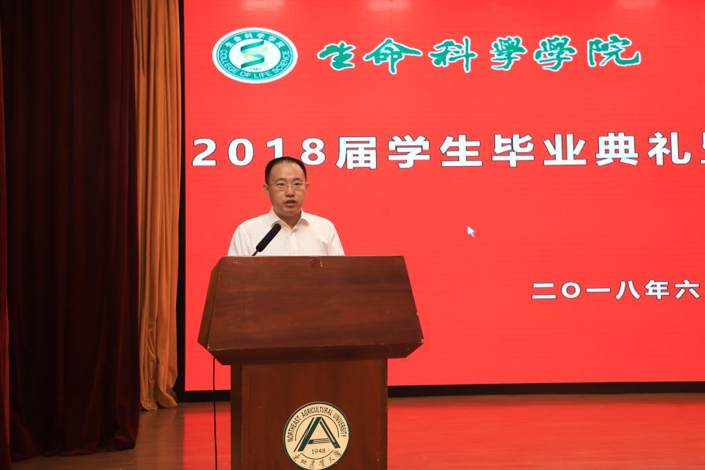 欧洲杯正规买球平台党委副书记高放主持典礼