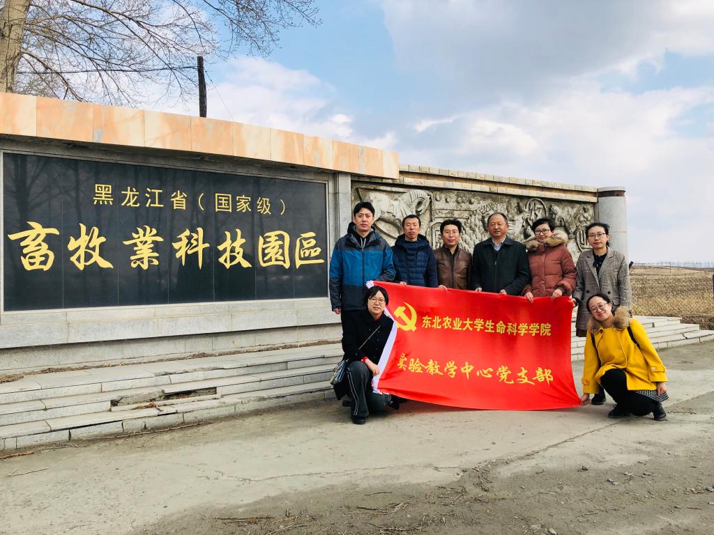 活动现场