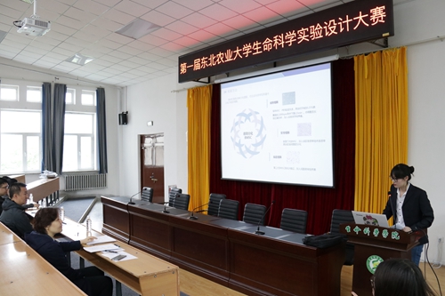 比赛现场